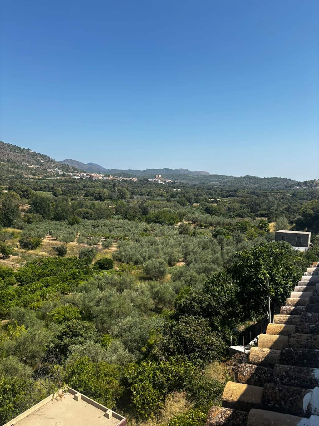Vistas abiertas a la Sierra de Espadán desde la casa